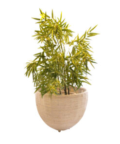 Dia Planter