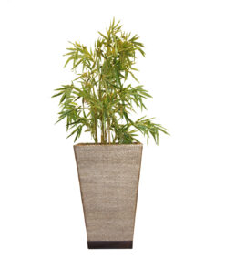 CONTEMPORIE PLANTER