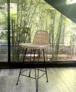 Retrosis High Stool